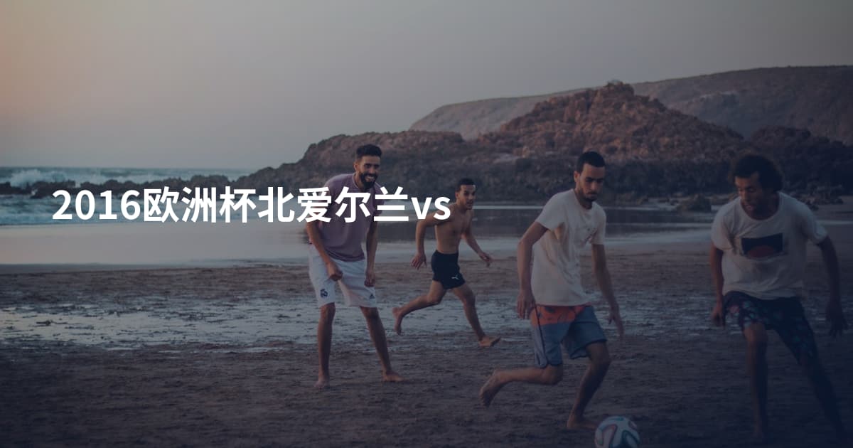 2016欧洲杯北爱尔兰vs