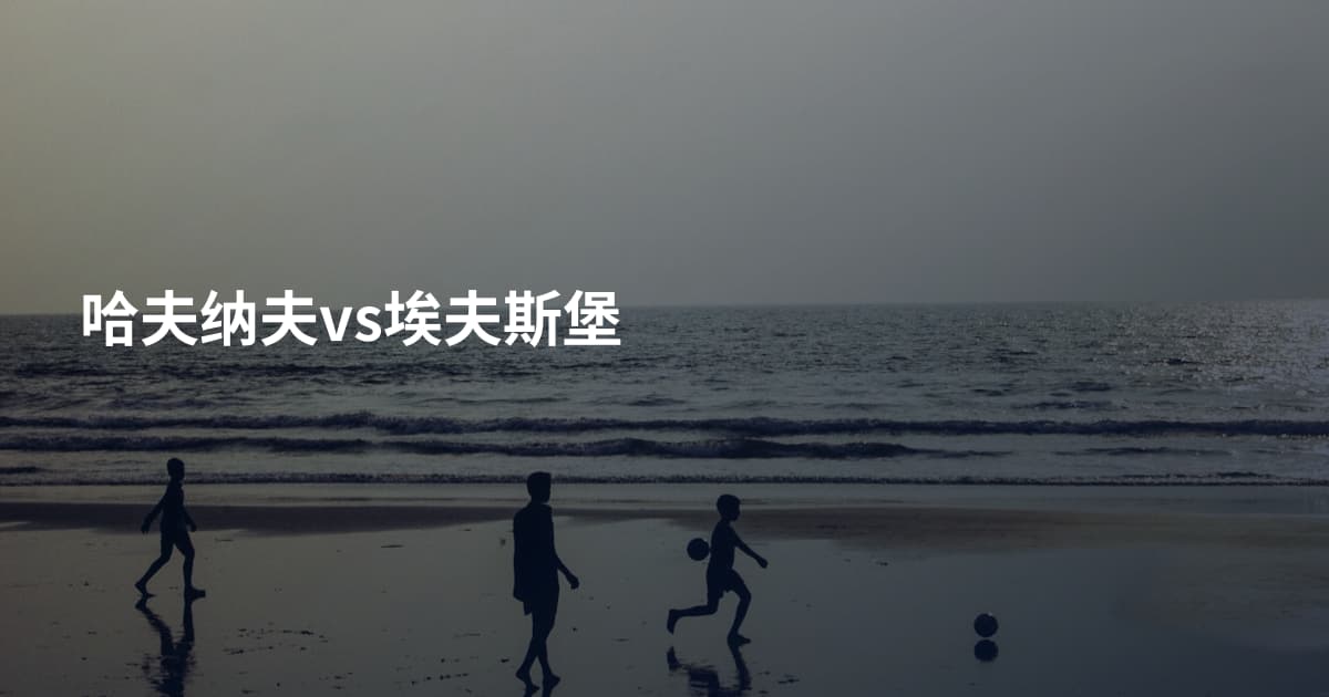哈夫纳夫vs埃夫斯堡