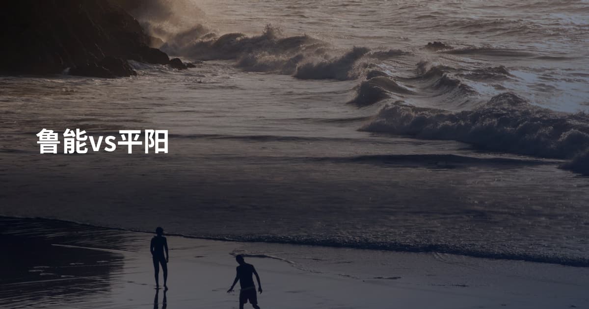 鲁能vs平阳