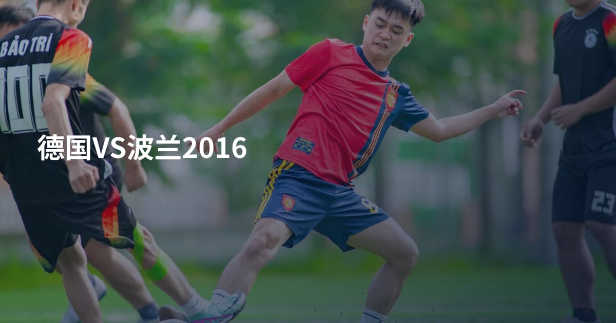 德国VS波兰2016