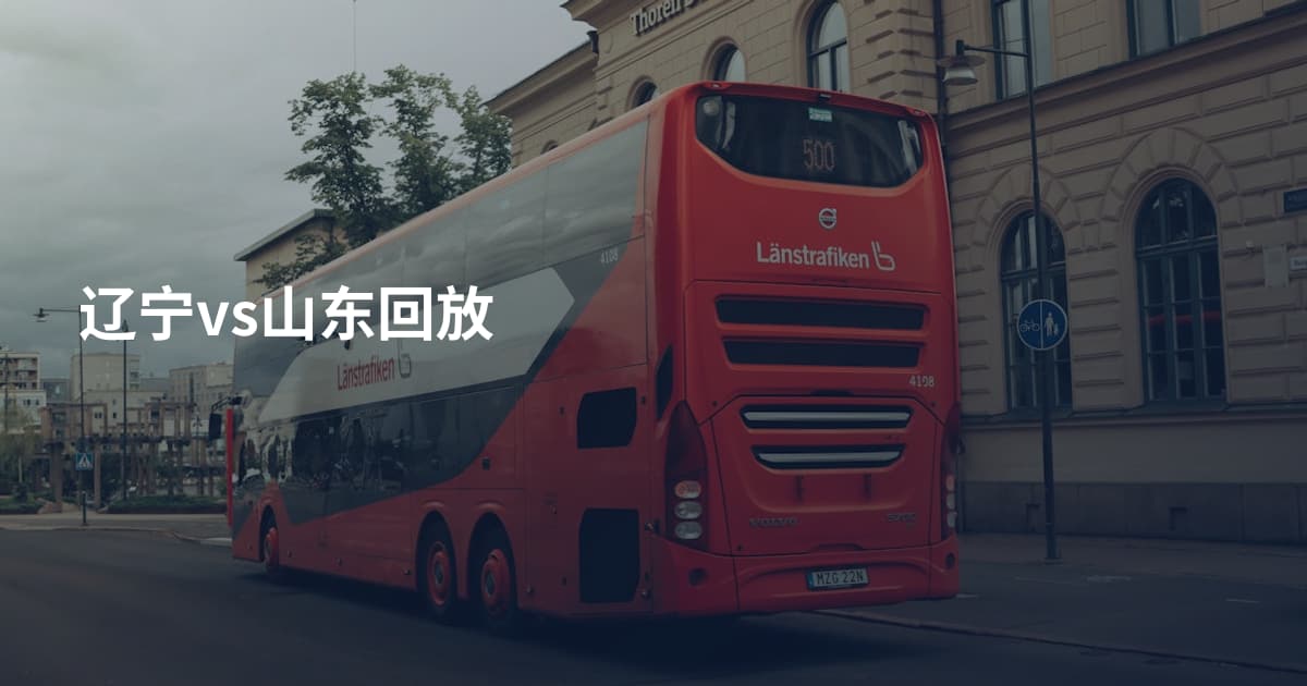 辽宁vs山东回放