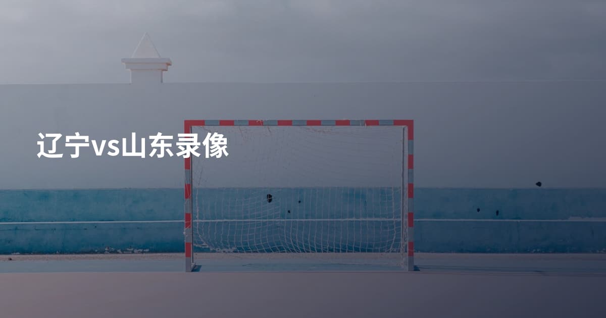 辽宁vs山东录像