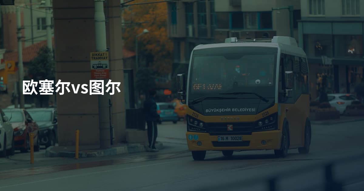欧塞尔vs图尔