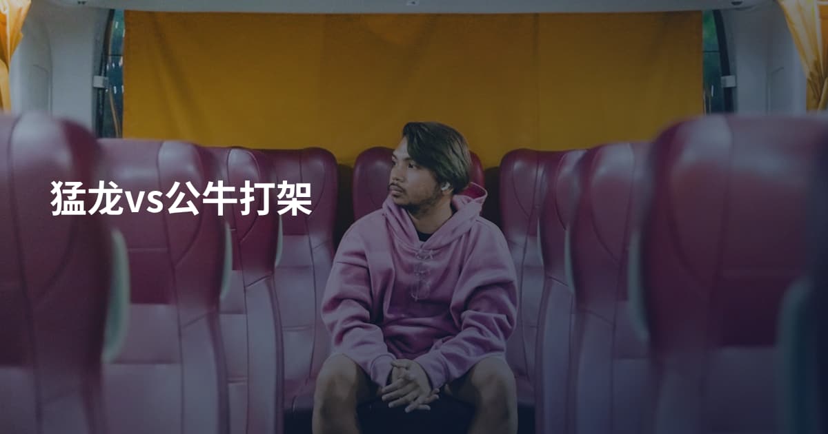 猛龙vs公牛打架