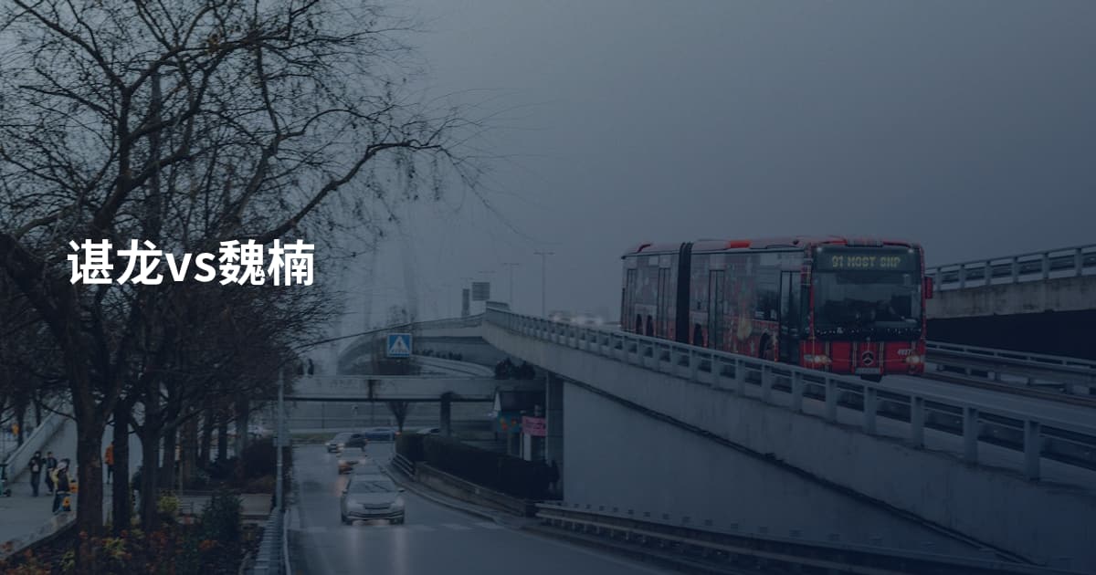 谌龙vs魏楠