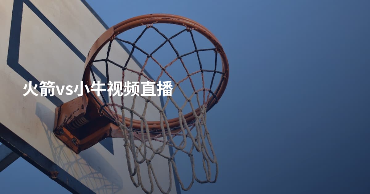 火箭vs小牛视频直播