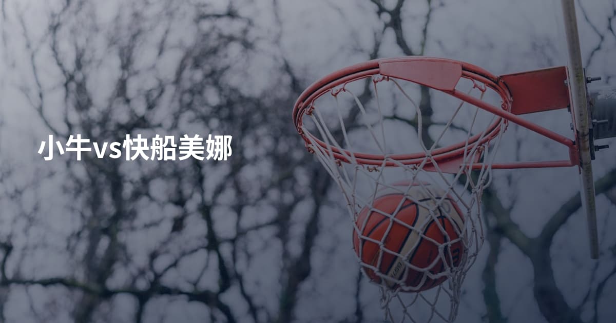 小牛vs快船美娜