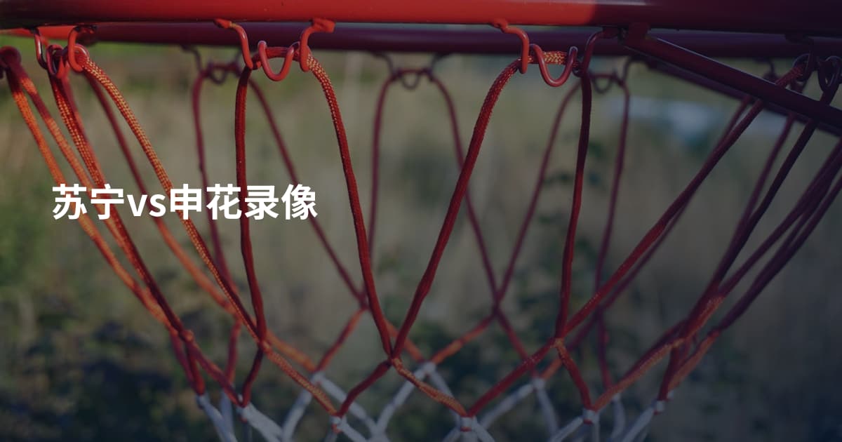 苏宁vs申花录像