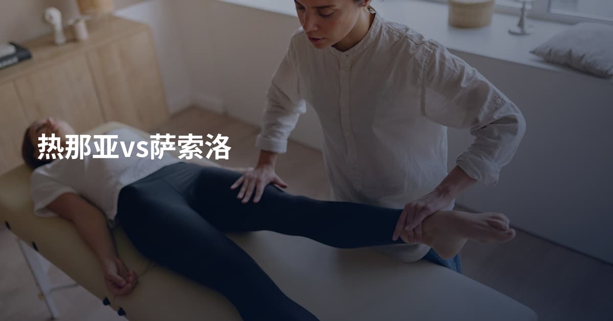 热那亚vs萨索洛