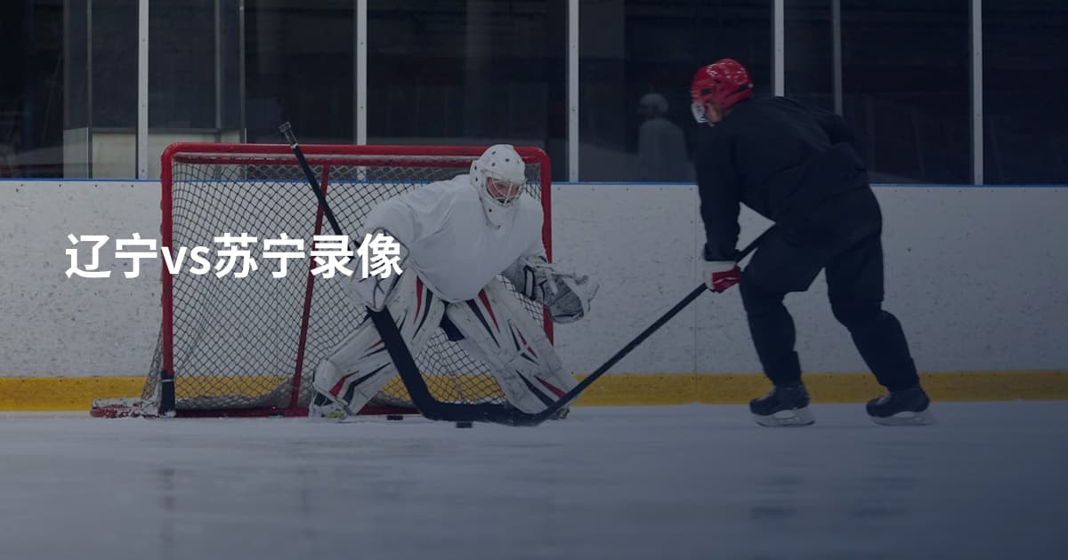 辽宁vs苏宁录像