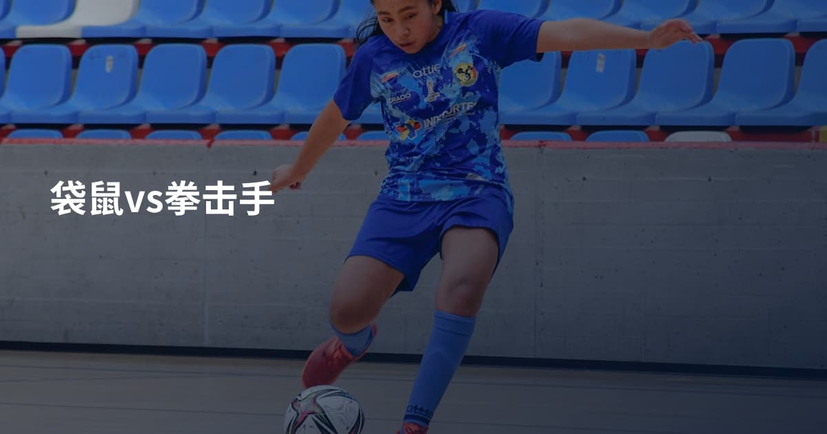袋鼠vs拳击手
