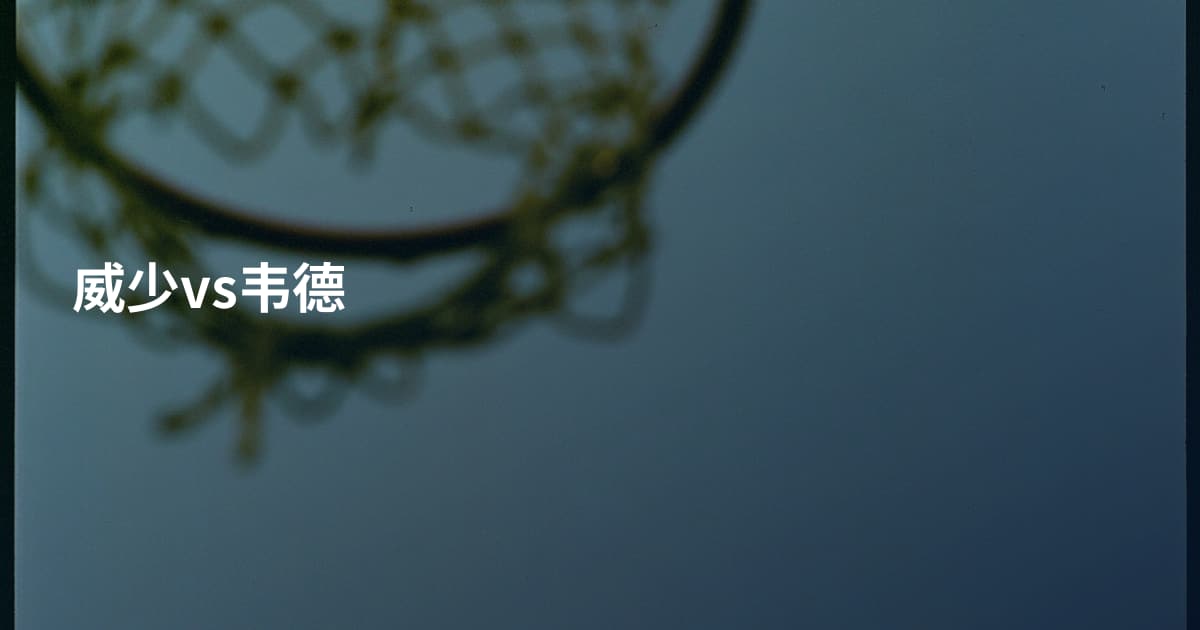 威少vs韦德