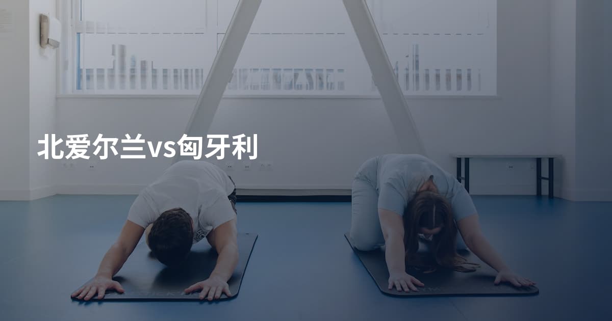 北爱尔兰vs匈牙利