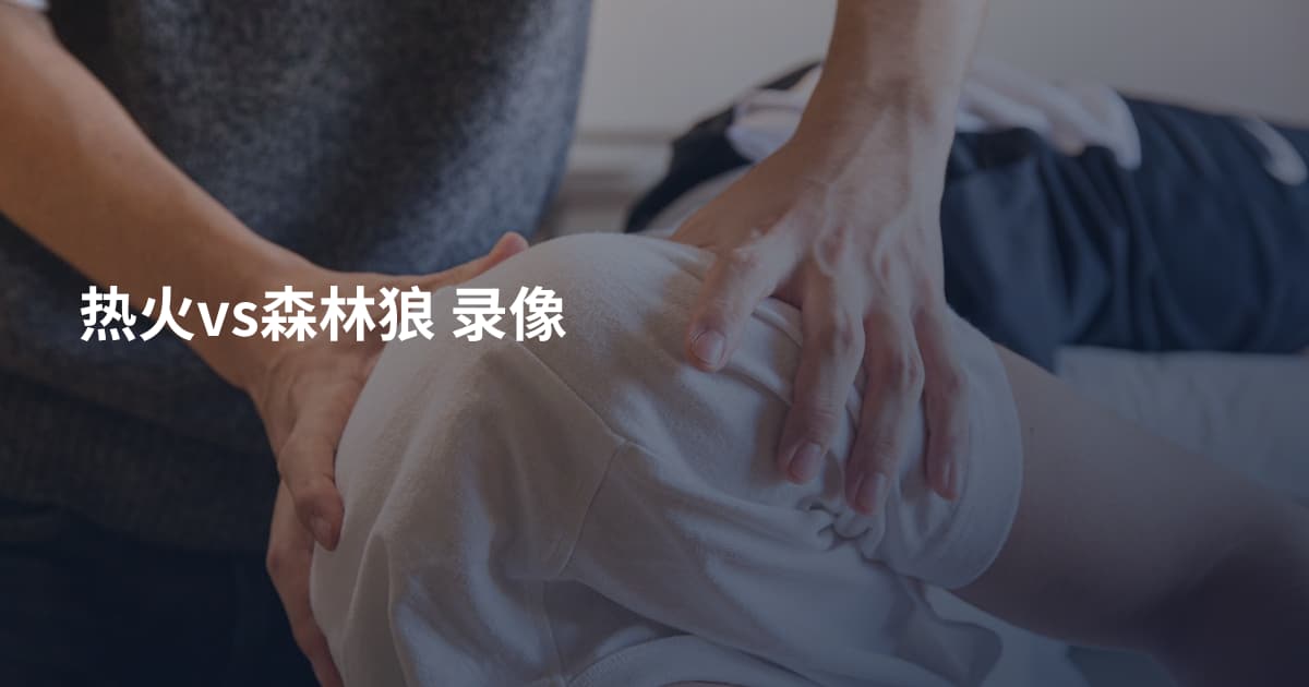 热火vs森林狼 录像