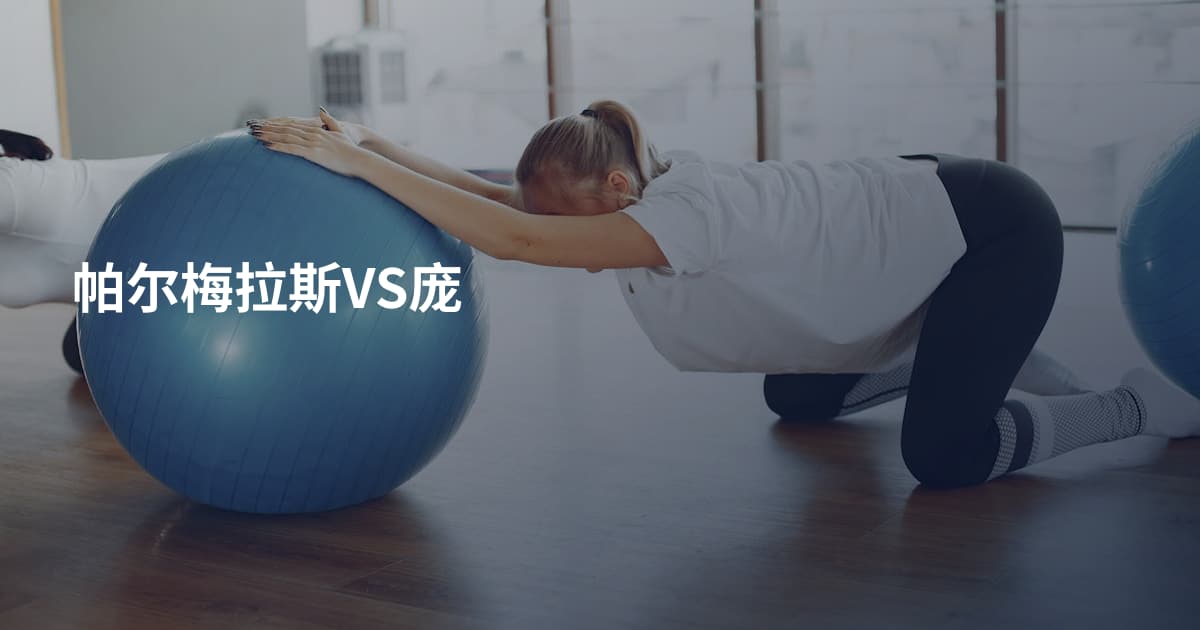 帕尔梅拉斯VS庞