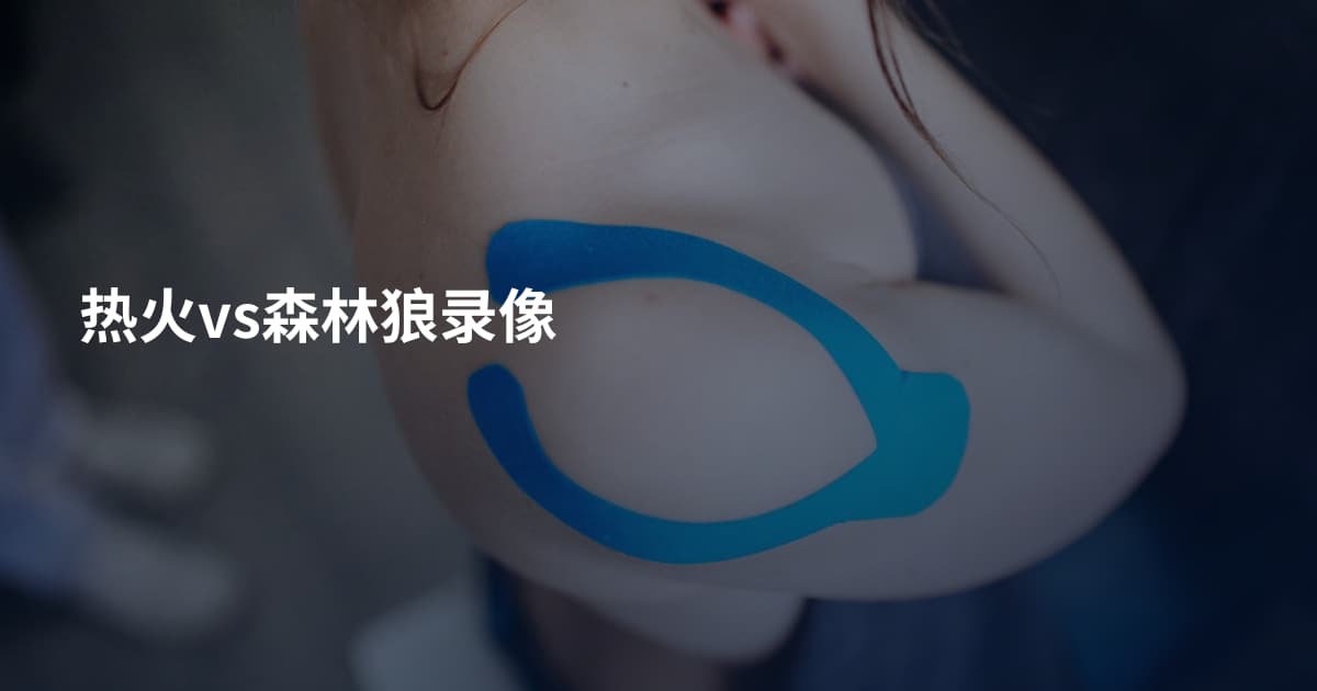 热火vs森林狼录像