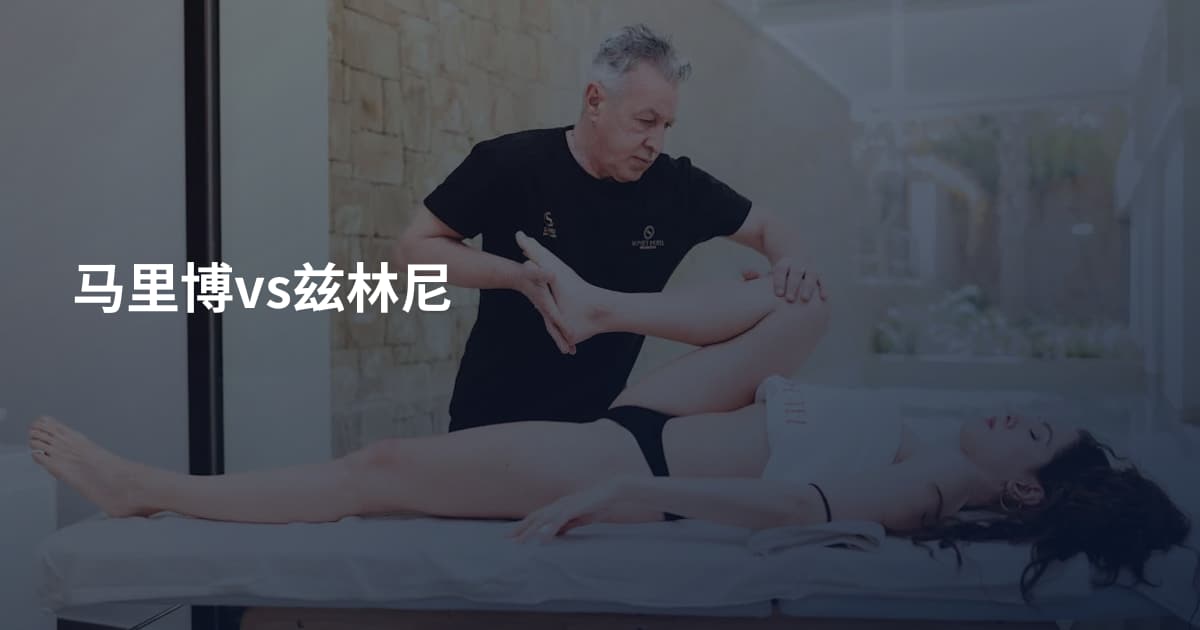 马里博vs兹林尼