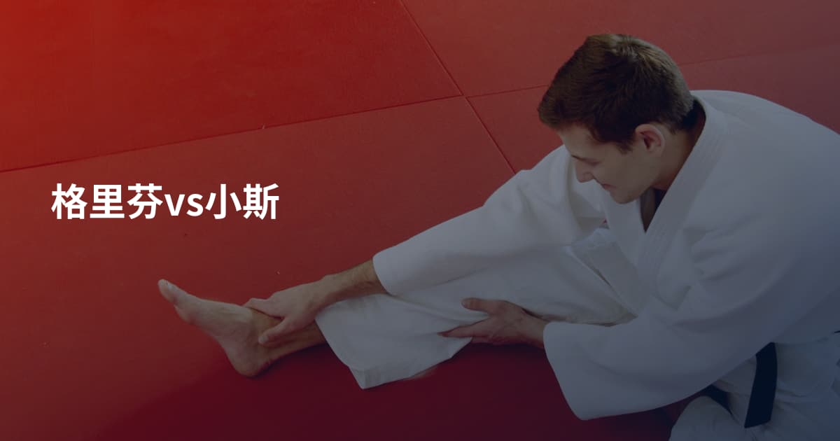 格里芬vs小斯