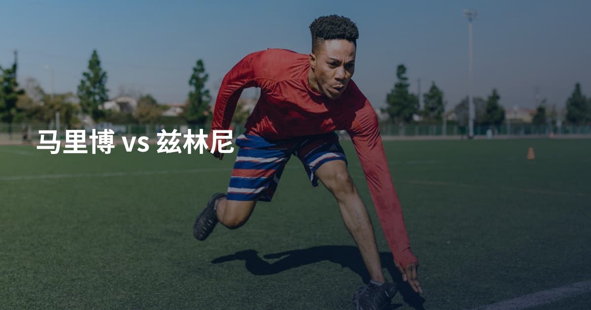 马里博 vs 兹林尼