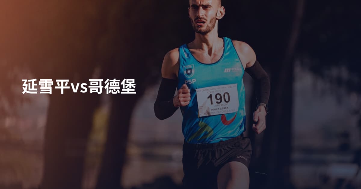 延雪平vs哥德堡