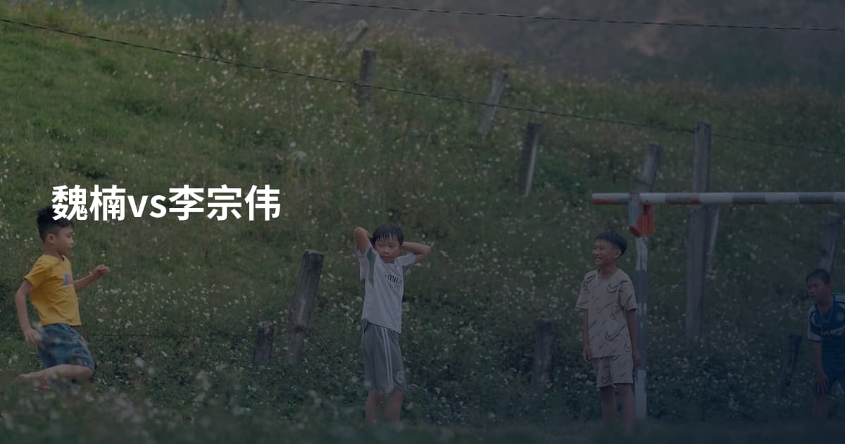 魏楠vs李宗伟