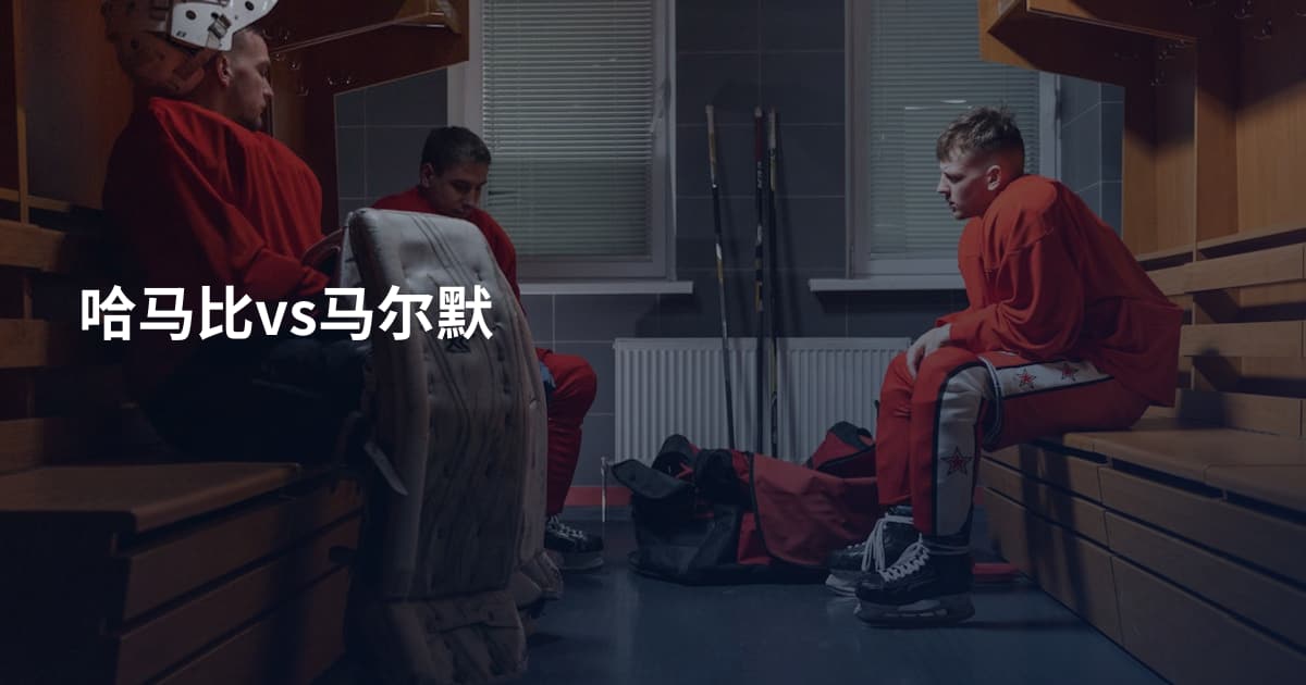 哈马比vs马尔默
