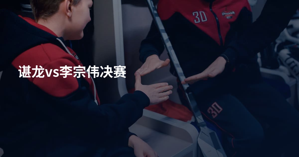 谌龙vs李宗伟决赛