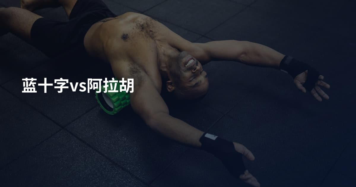 蓝十字vs阿拉胡
