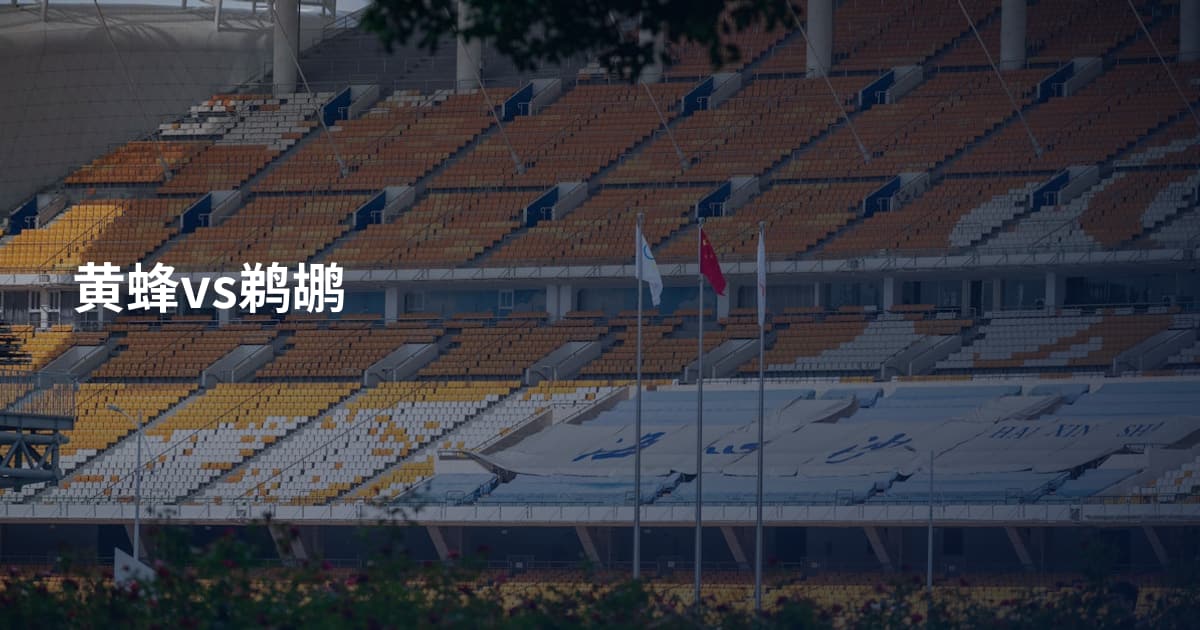 黄蜂vs鹈鹕