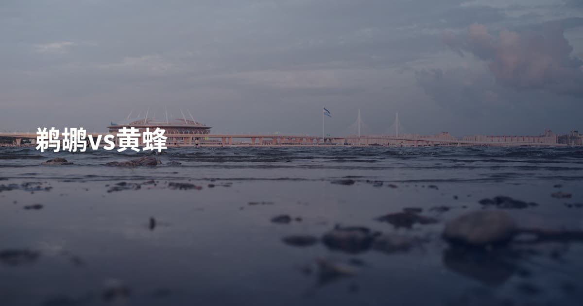 鹈鹕vs黄蜂