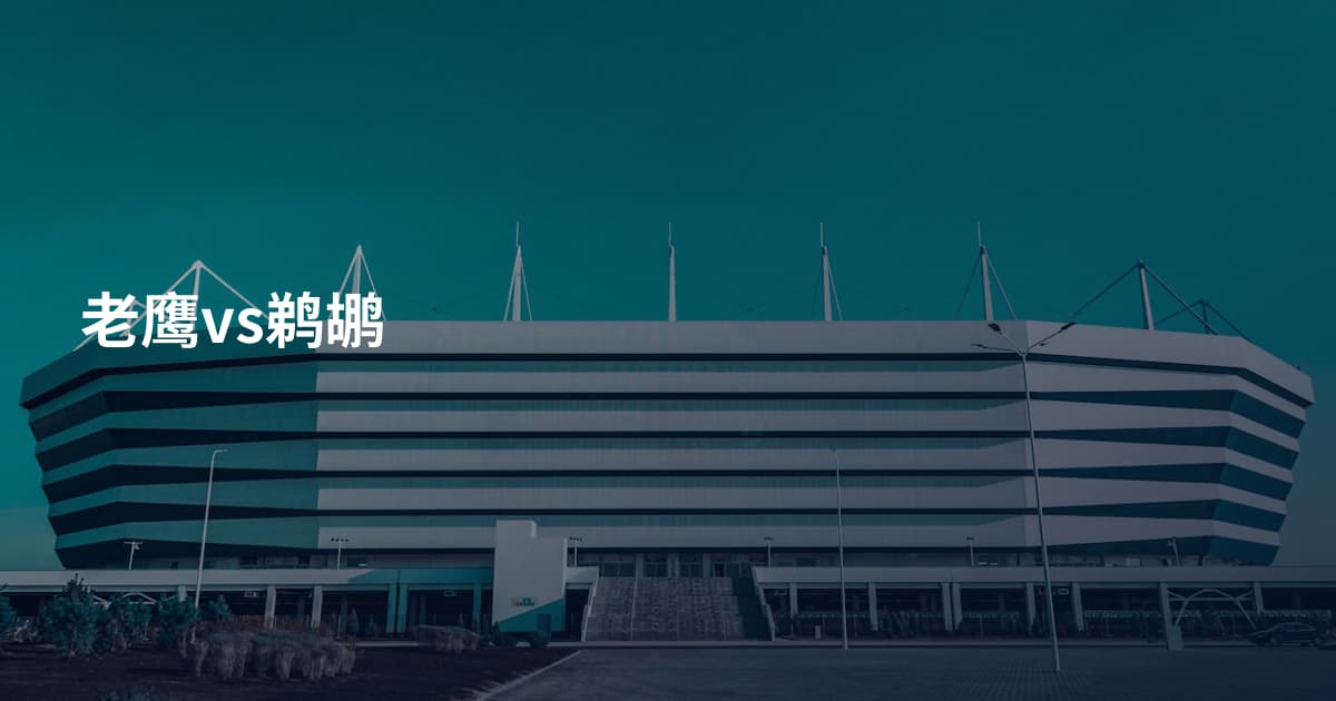老鹰vs鹈鹕