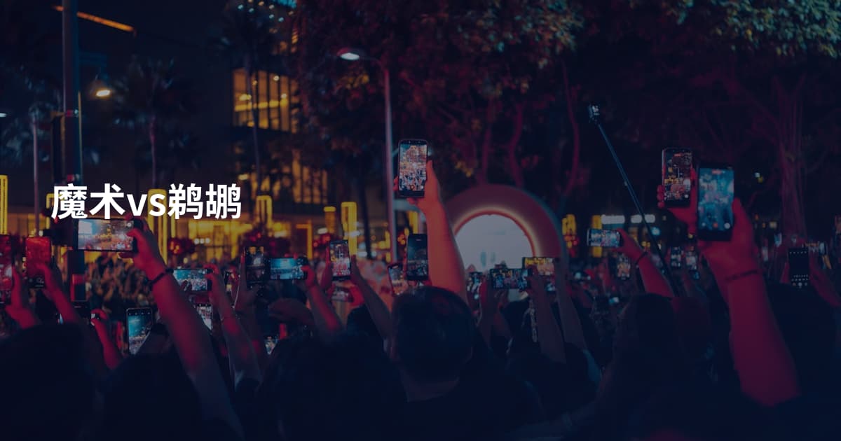 魔术vs鹈鹕