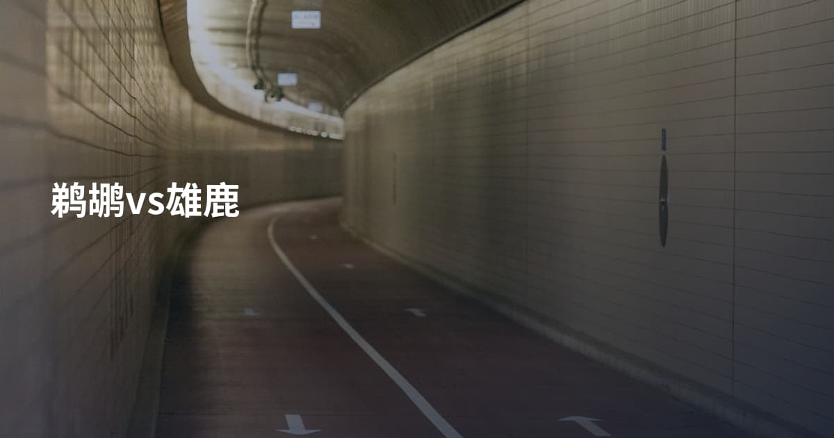 鹈鹕vs雄鹿