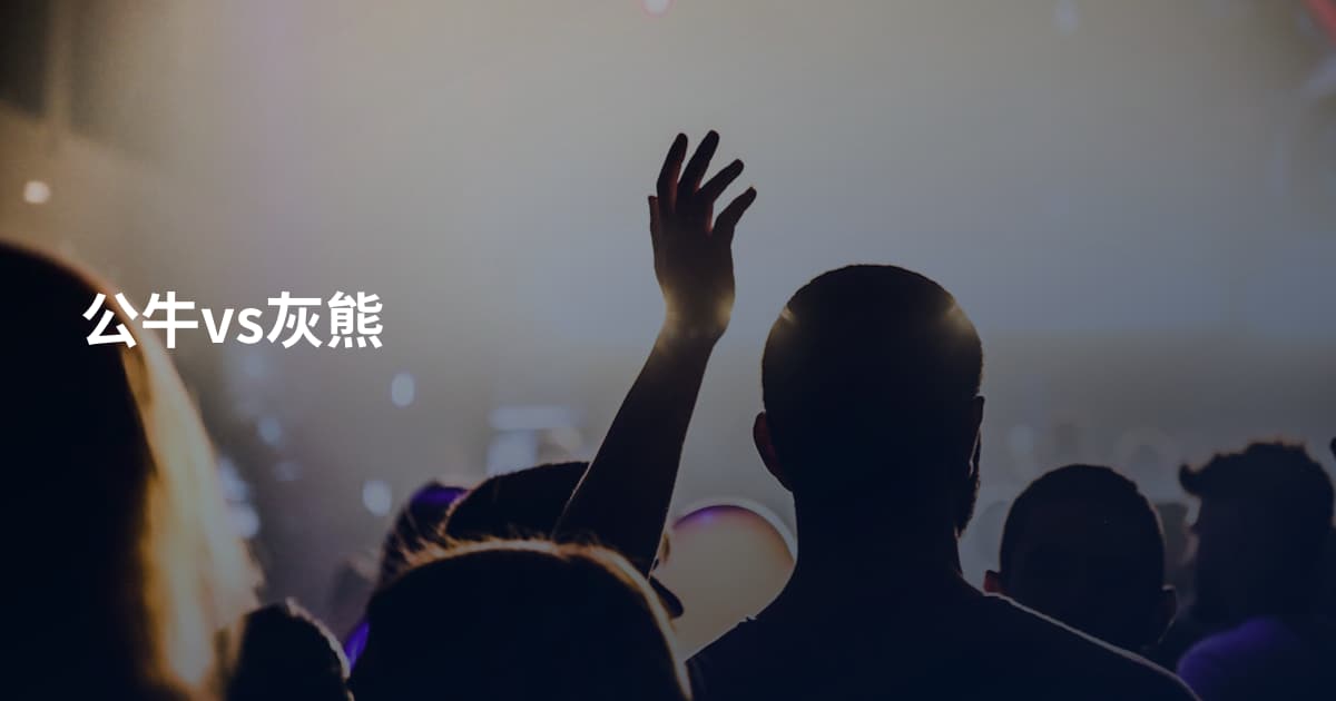 公牛vs灰熊