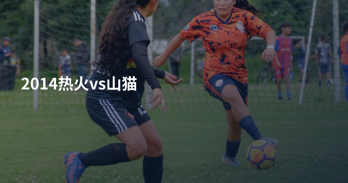 2014热火vs山猫