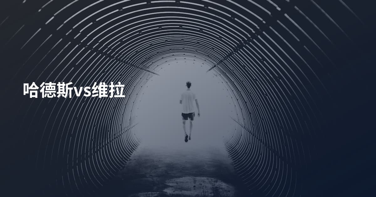 哈德斯vs维拉