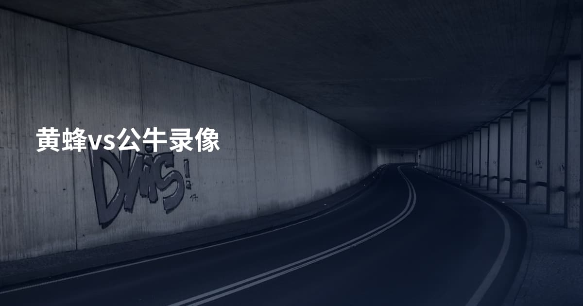 黄蜂vs公牛录像
