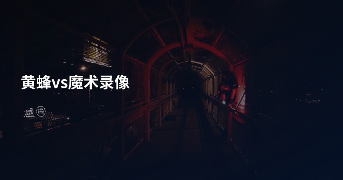 黄蜂vs魔术录像