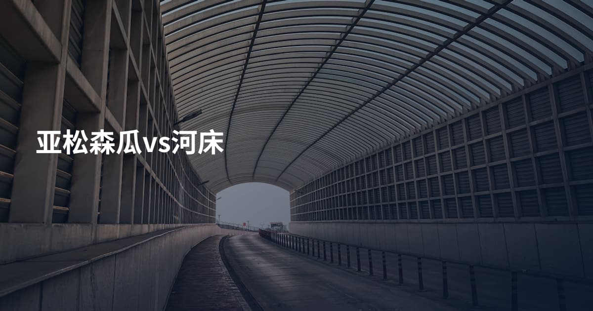 亚松森瓜vs河床