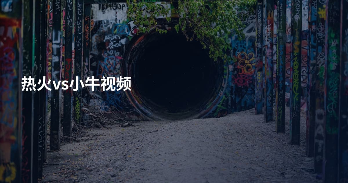 热火vs小牛视频