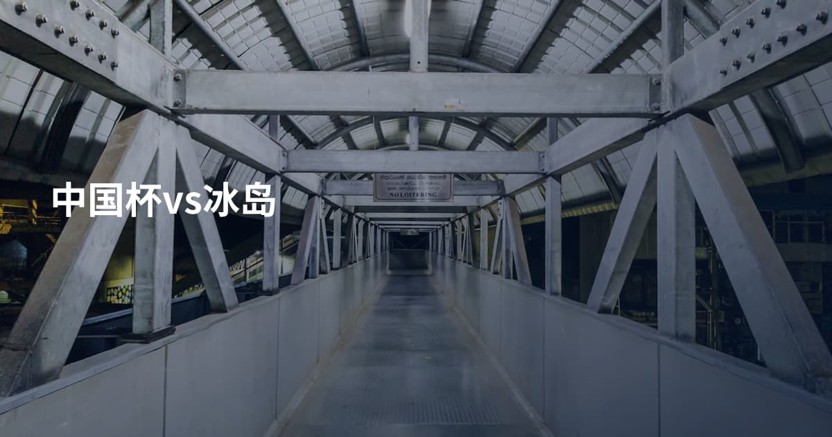 中国杯vs冰岛