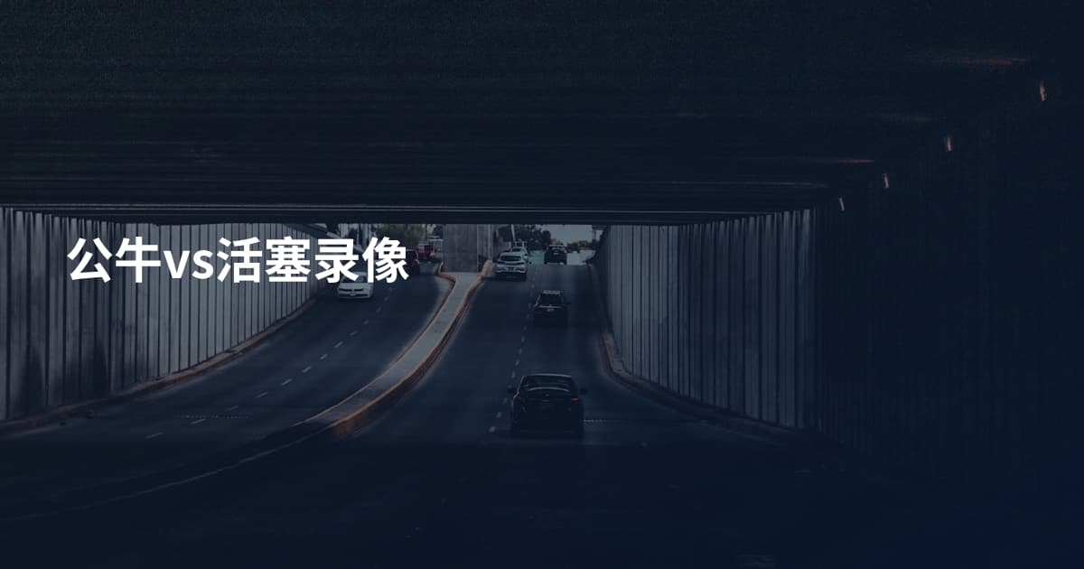 公牛vs活塞录像