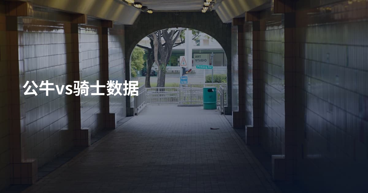 公牛vs骑士数据