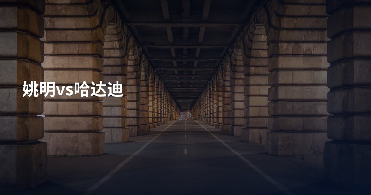 姚明vs哈达迪