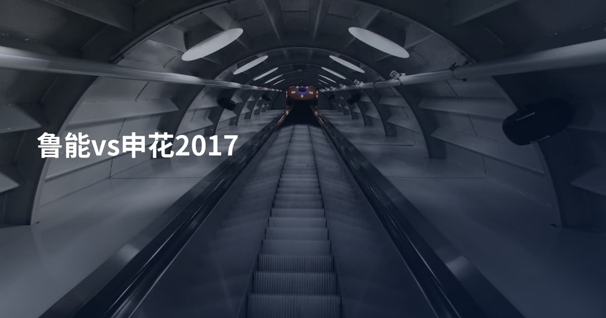 鲁能vs申花2017