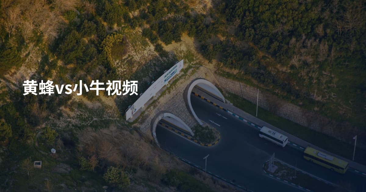 黄蜂vs小牛视频