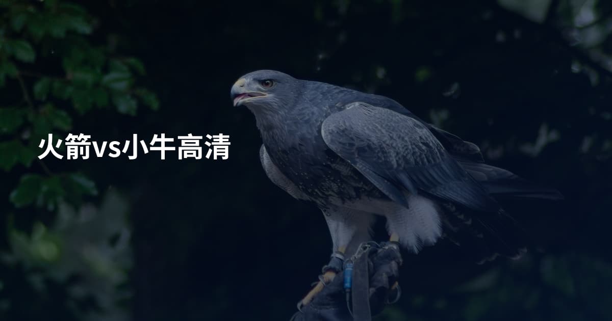 火箭vs小牛高清