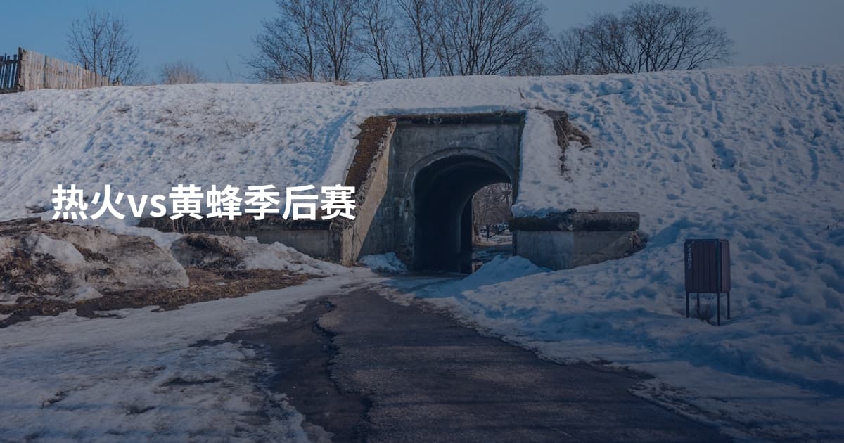 热火vs黄蜂季后赛