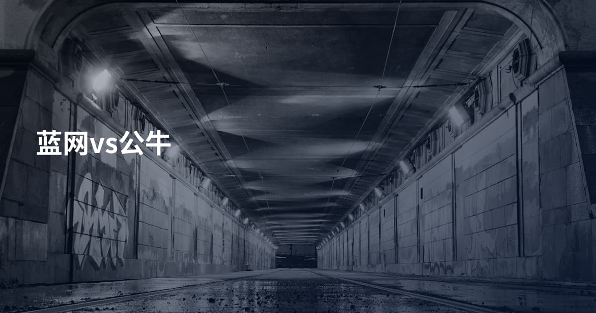 蓝网vs公牛