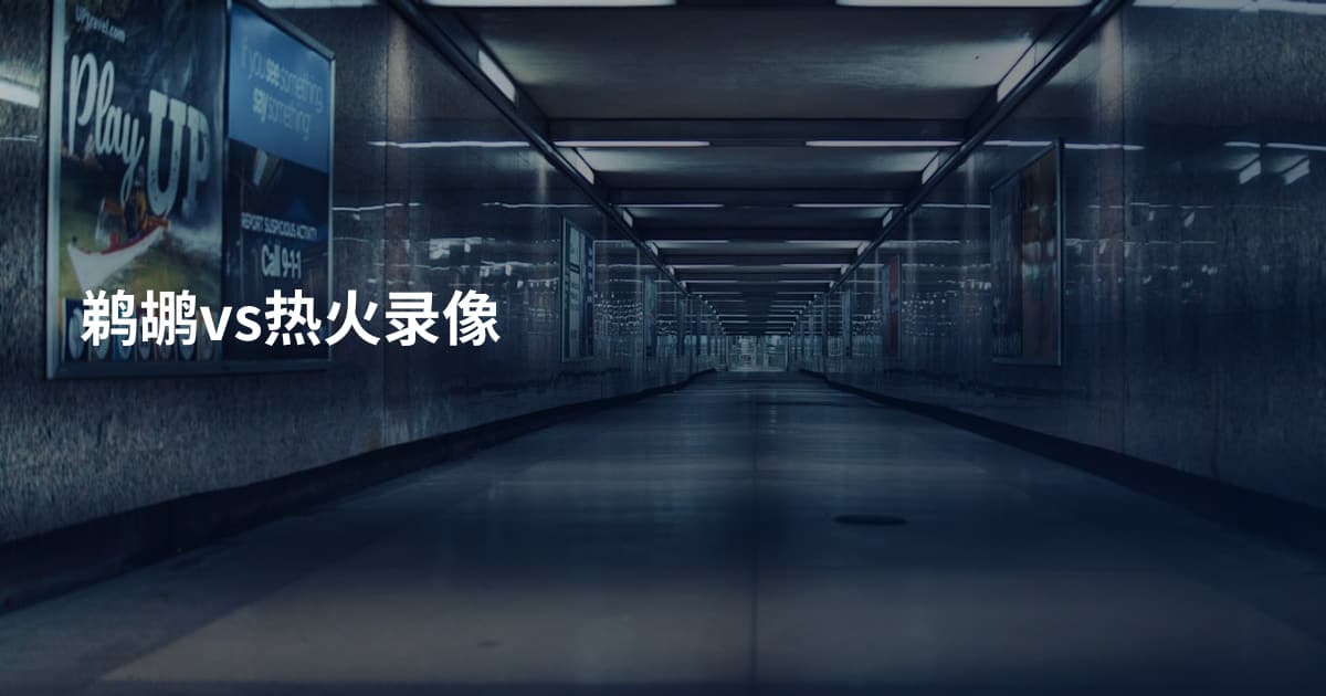 鹈鹕vs热火录像